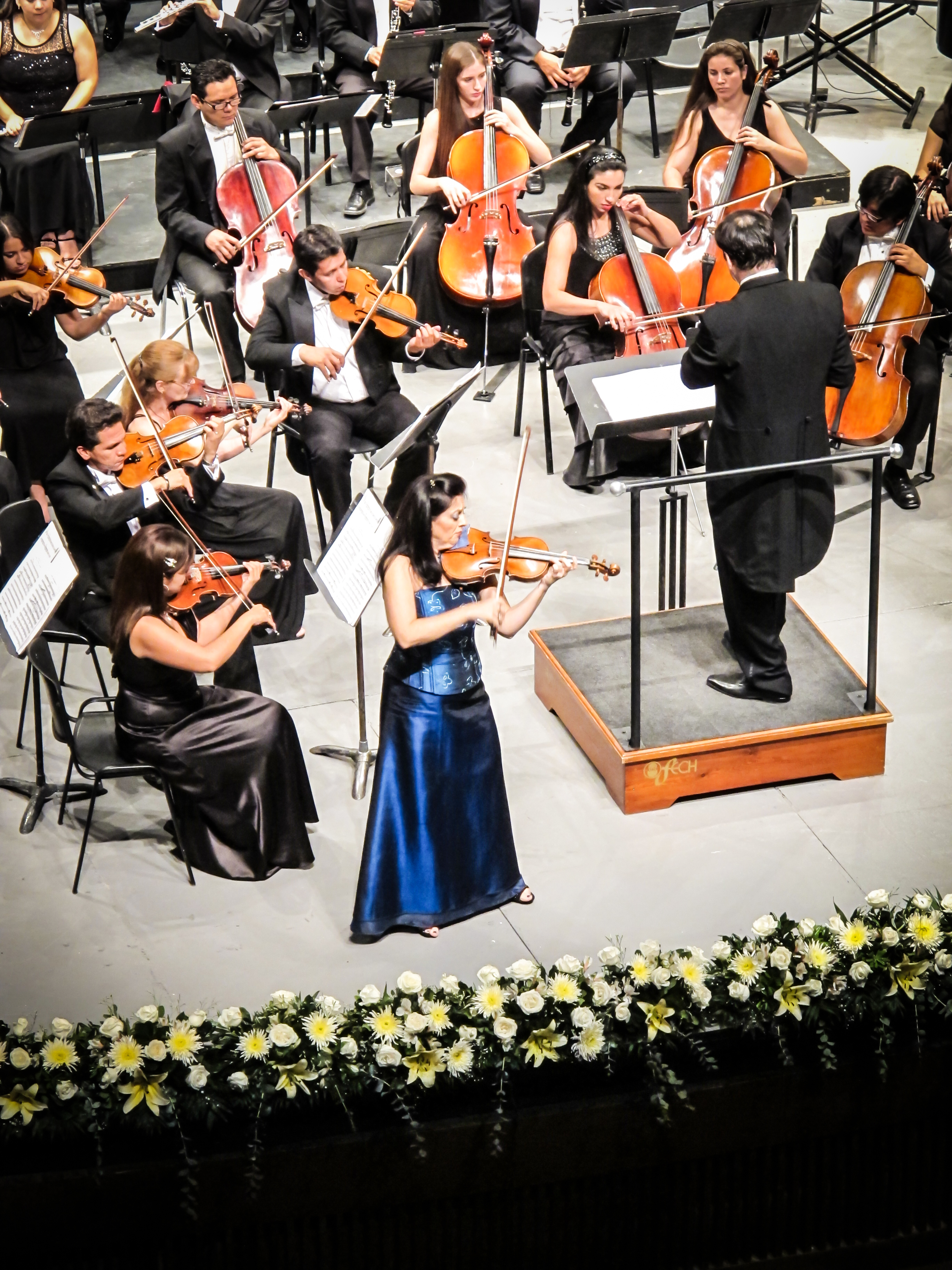 Imagen de Convocatoria internacional para cubrir plaza de violonchelo principal