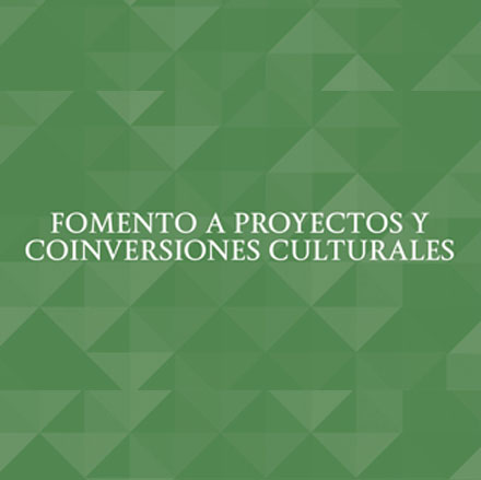 Imagen de FONDO NACIONAL PARA LA CULTURA Y LAS ARTES
PROGRAMA DE FOMENTO A PROYECTOS Y COINVERSIONES CULTURALES
CONVOCATORIA 2015