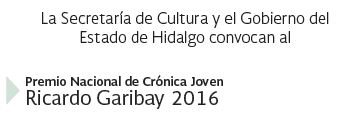 Imagen de Premio Nacional de Crónica Joven Ricardo Garibay 2016.