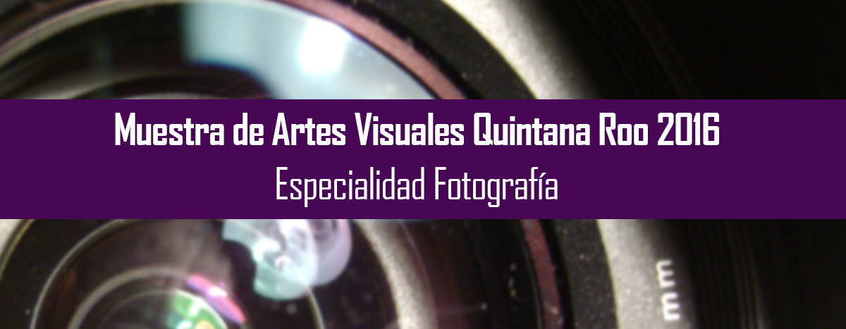 Muestra de Artes Visuales Quintana Roo 2016


Especialidad: Fotografía