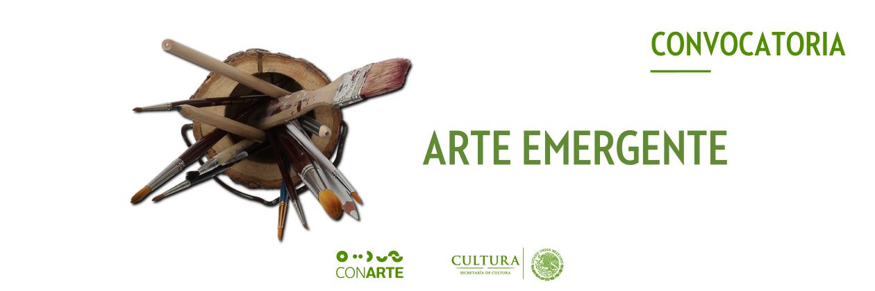 ARTEMERGENTE Bienal Nacional Monterrey,