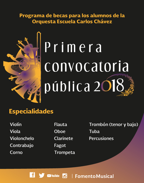 Imagen de Orquesta Escuela Carlos Chávez
Primera convocatoria pública 2018