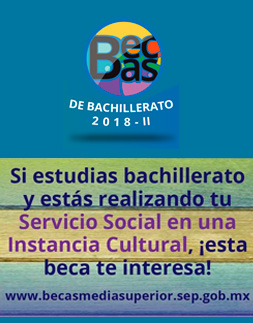 Programa de becas de servicio social