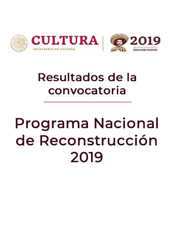 Resultados de la convocatoria del Programa Nacional
de Reconstrucción 2019