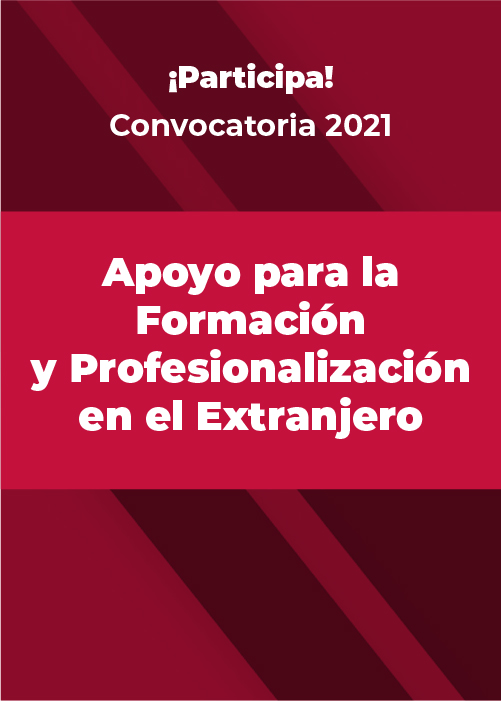 Apoyo para la Formación y Profesionalización en el Extranjero 2021