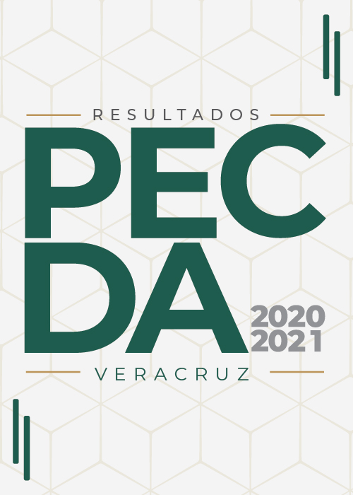 Programa de Estímulo a la Creación y Desarrollo Artístico Veracruz (PECDA) 2020-2021