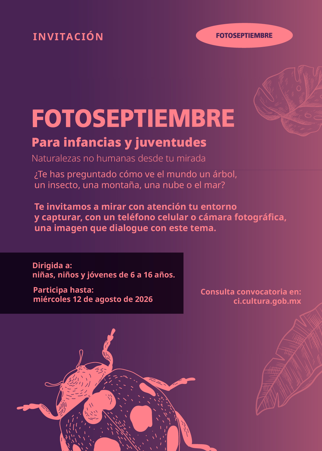 FOTOSEPTIEMBRE para infancias y juventudes