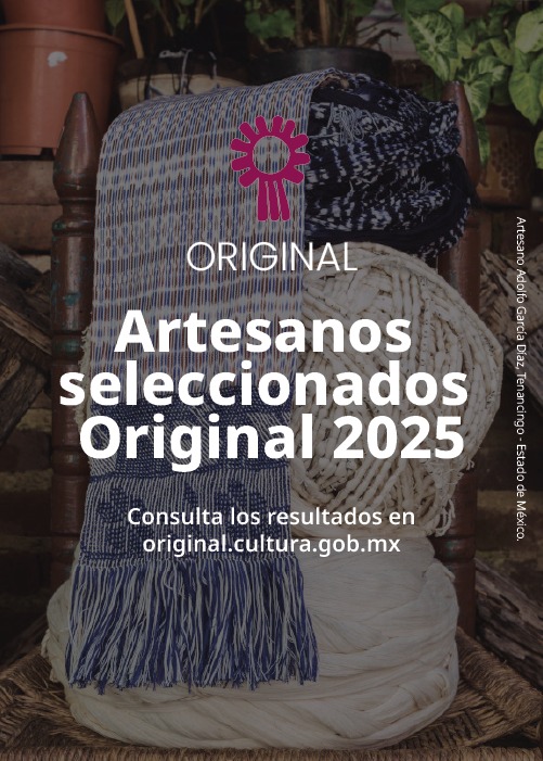 Resultados de la Convocatoria Nacional para el proceso de preselección de Original 2025