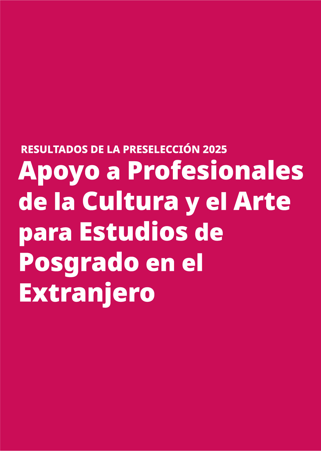 Imagen muestra del resultado de Apoyo a Profesionales de la Cultura y el Arte para estudios de Posgrado en el Extranjero